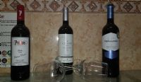 Vinos tintos Ribera del Duero, de la D.O. Tacoronte Acentejo y blanco exquisito