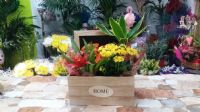 Caja con plantas y flores